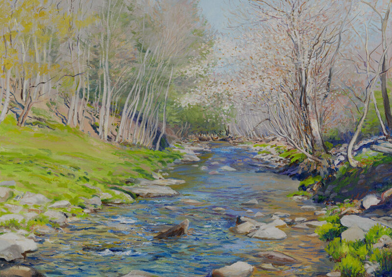 April on Shin Creek